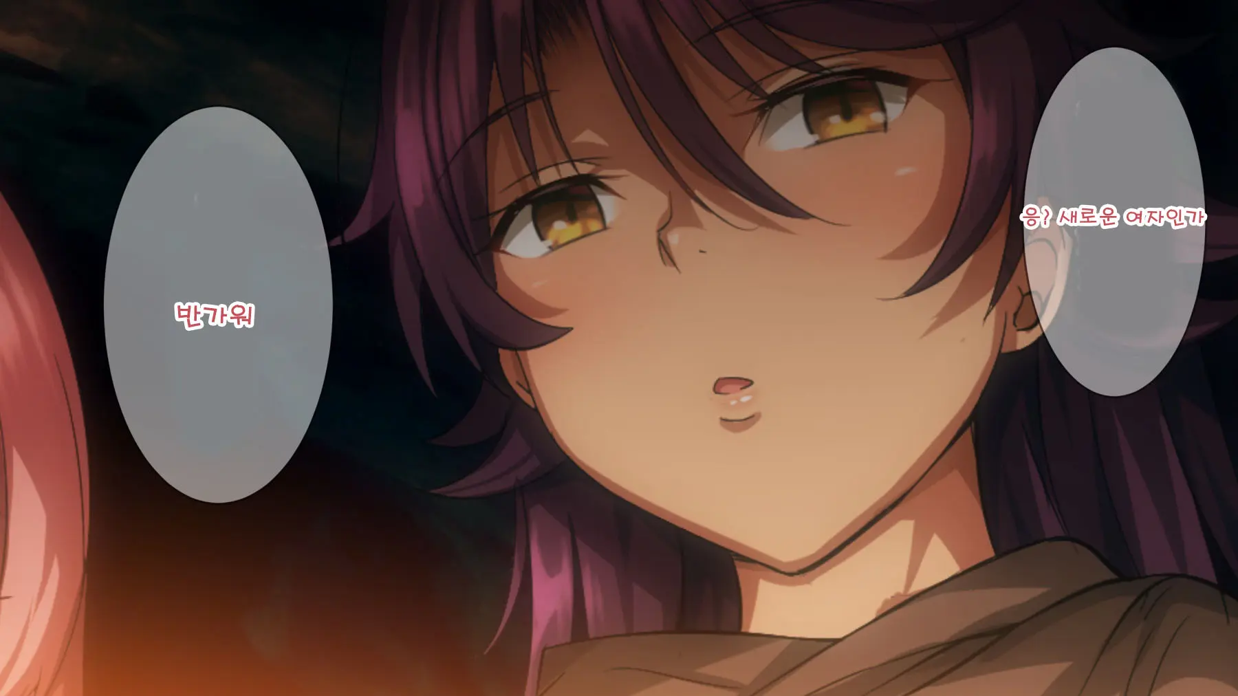 Mamono No Nie 2 ~Ishu No Ko O Haranda Boukensha-Tachi~ | 마물의 희생양 2 ~괴물의 새끼를 임신한 모험가들~